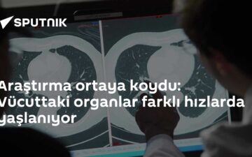 doku saatleri