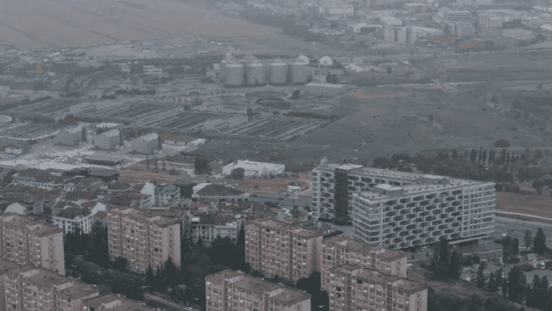 Leylek Göçu