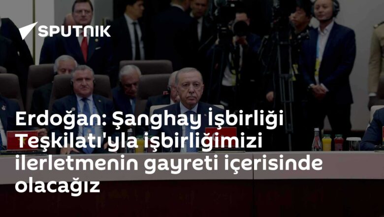 Şanghay İşbirliği Örgütü