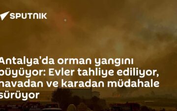 Orman yangını