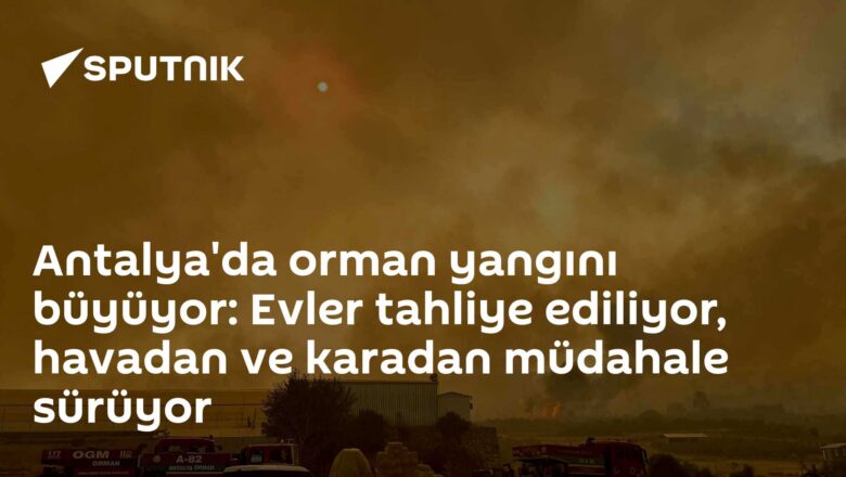 Orman yangını