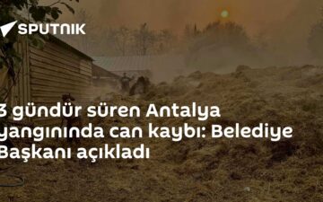 orman yangını