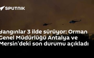 orman yangını
