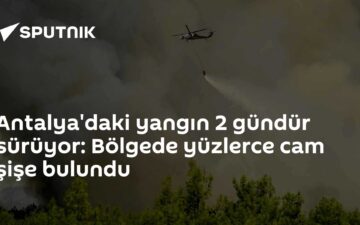 Yangın