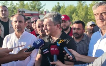 Orman Yangını