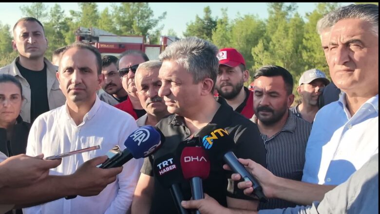 Orman Yangını