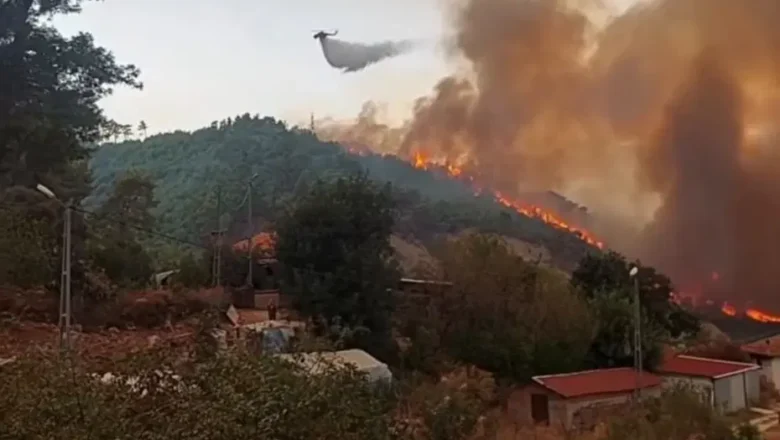 Serik yangını