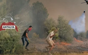 Orman Yangınları
