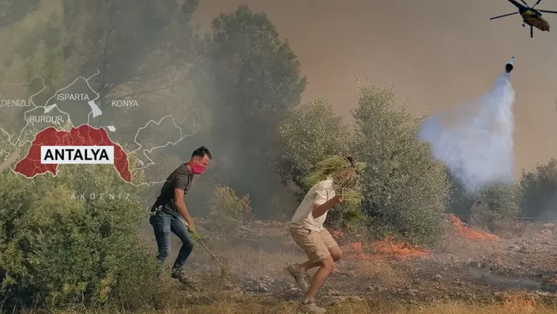 Orman Yangınları