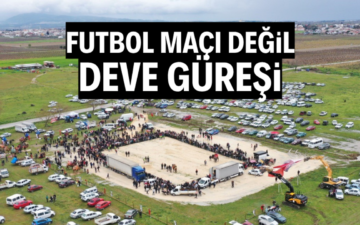 Deve güreşleri