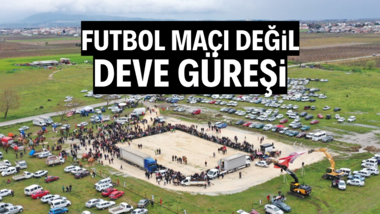 Deve güreşleri